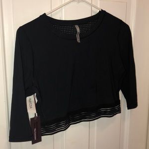 Aritzia Crop Workout Top (L)